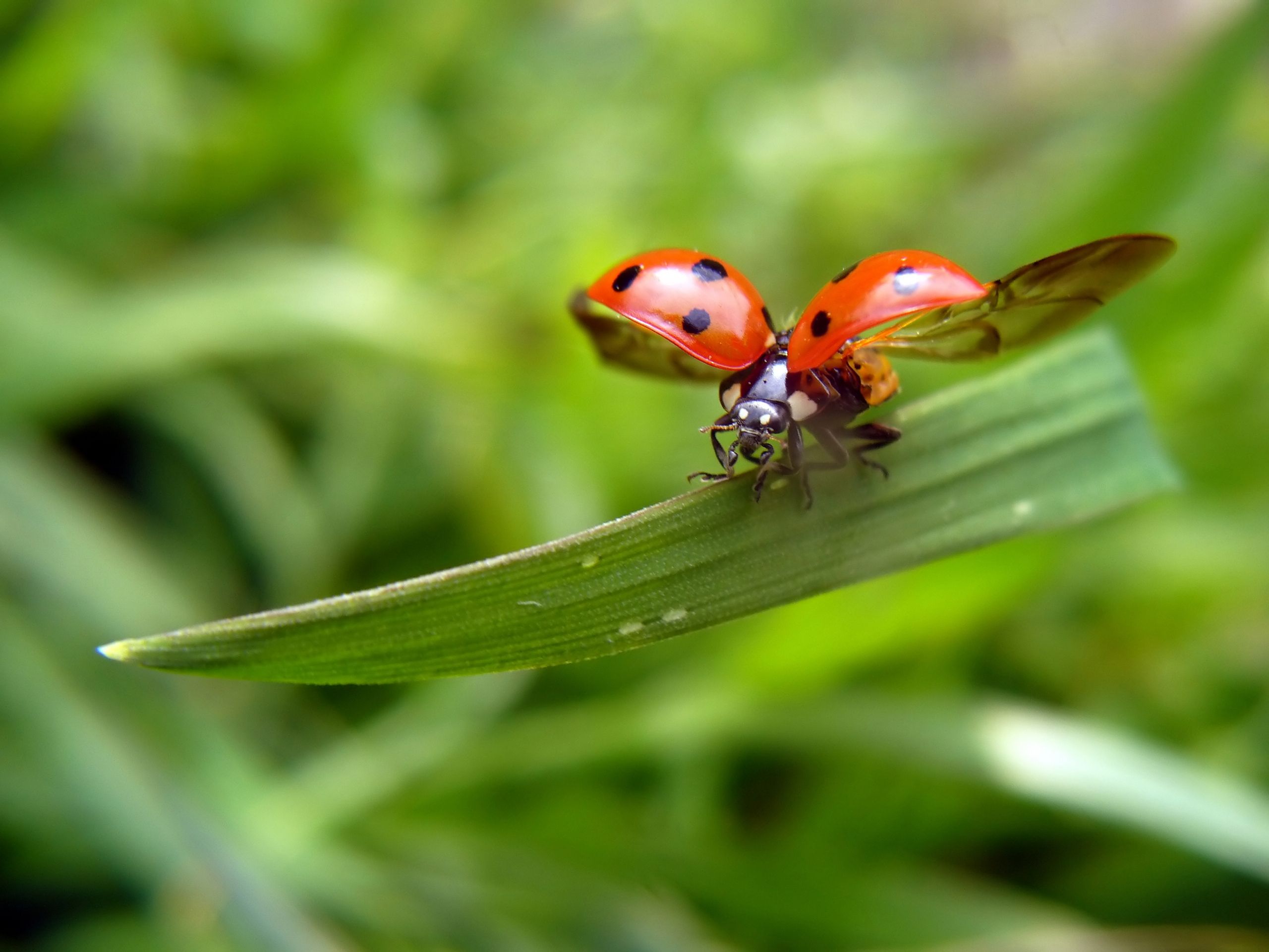 Ways to reduce bugs in software development | CloudFlex